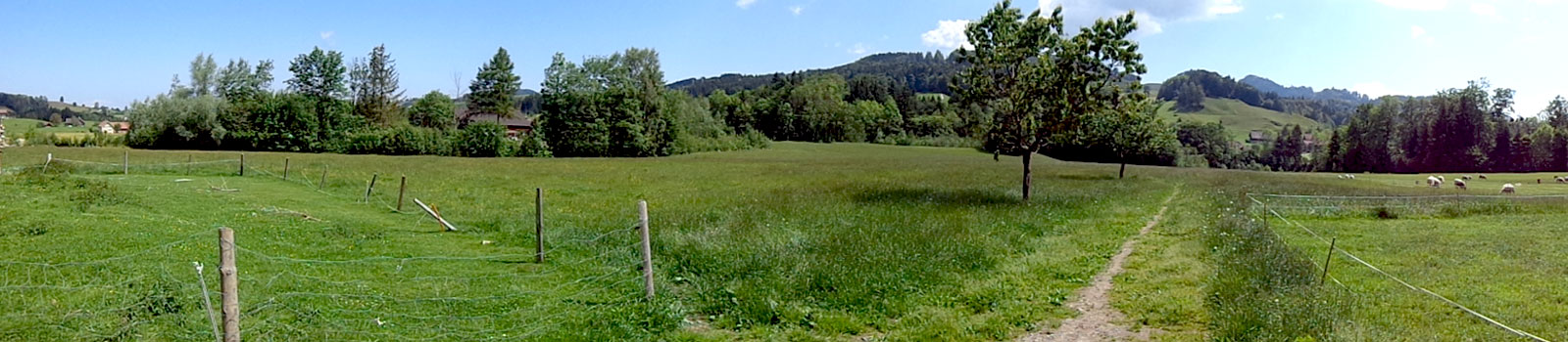 swisslandscape-01.jpg