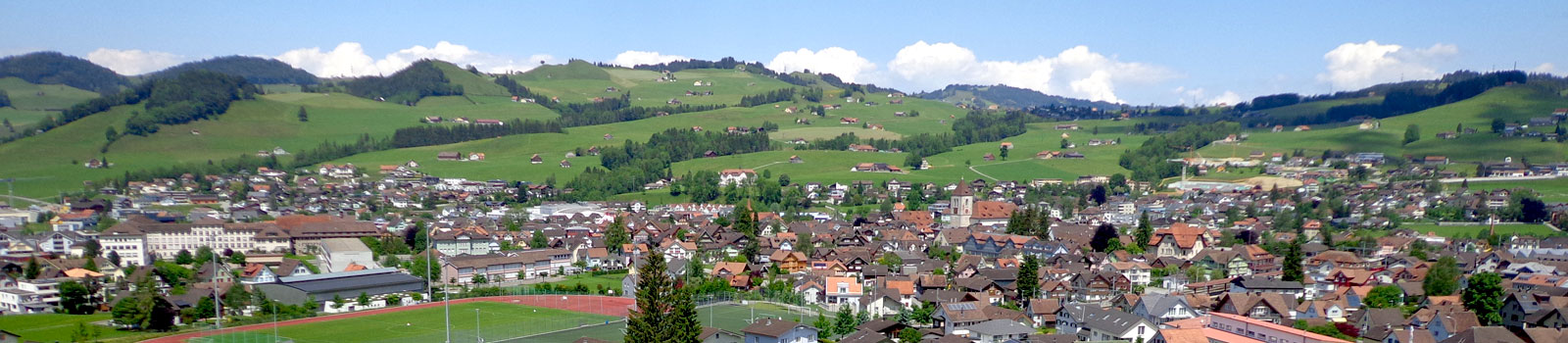 swisslandscape-02.jpg