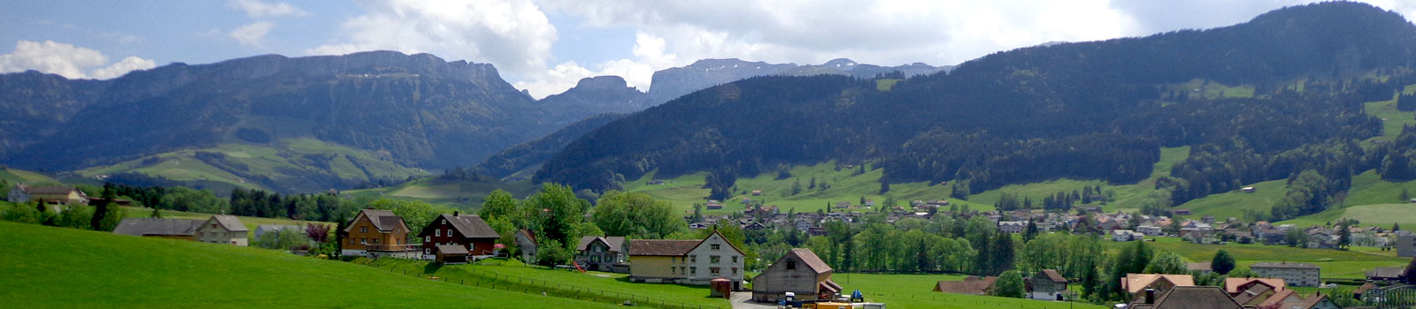 swisslandscape-03.jpg